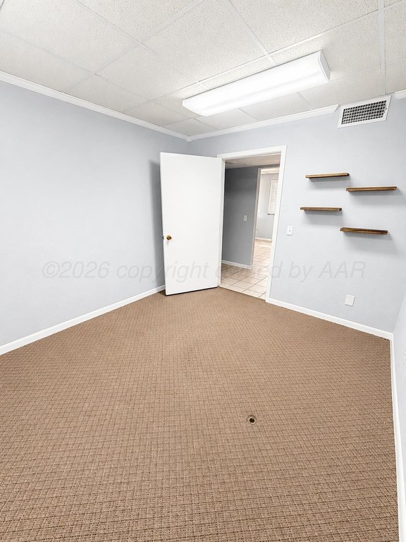 Picture 20