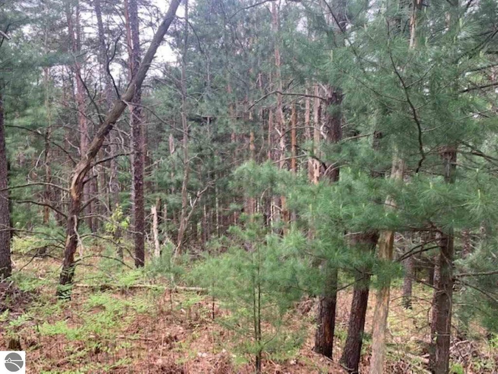 Picture 23