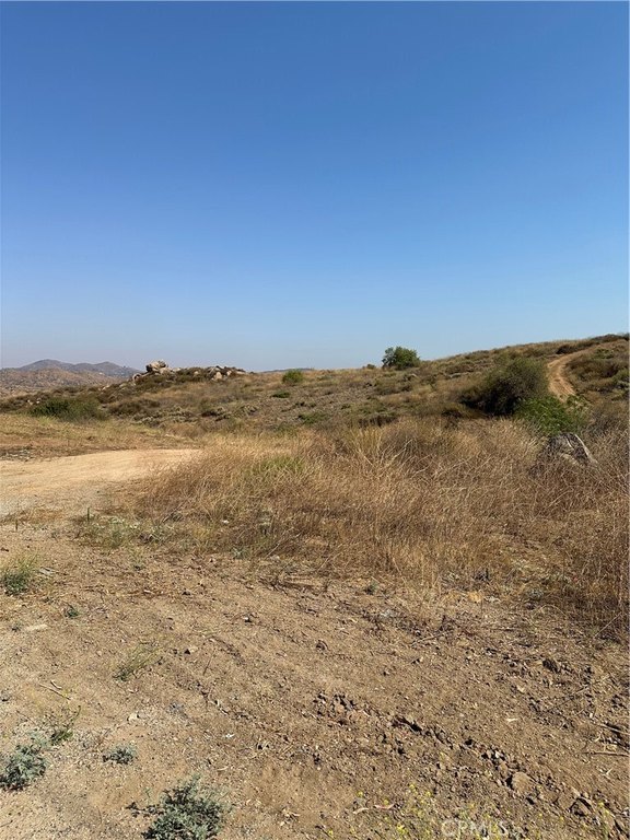 Picture 15