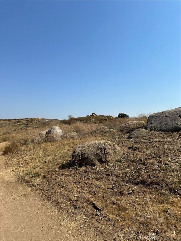 Picture 8