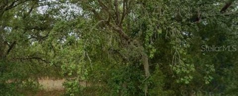 Land, DUNNELLON, FL