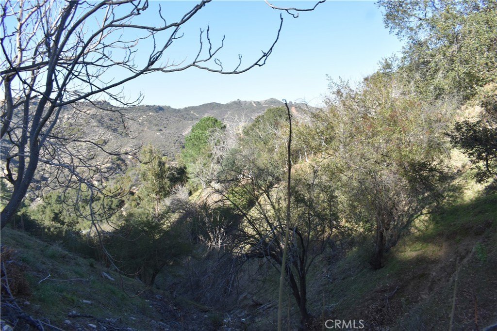 Land in Cedar Glen, CA