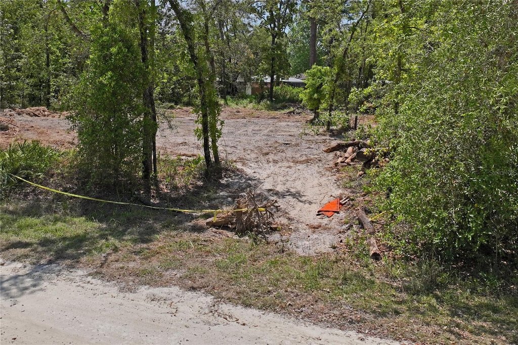 Picture 16