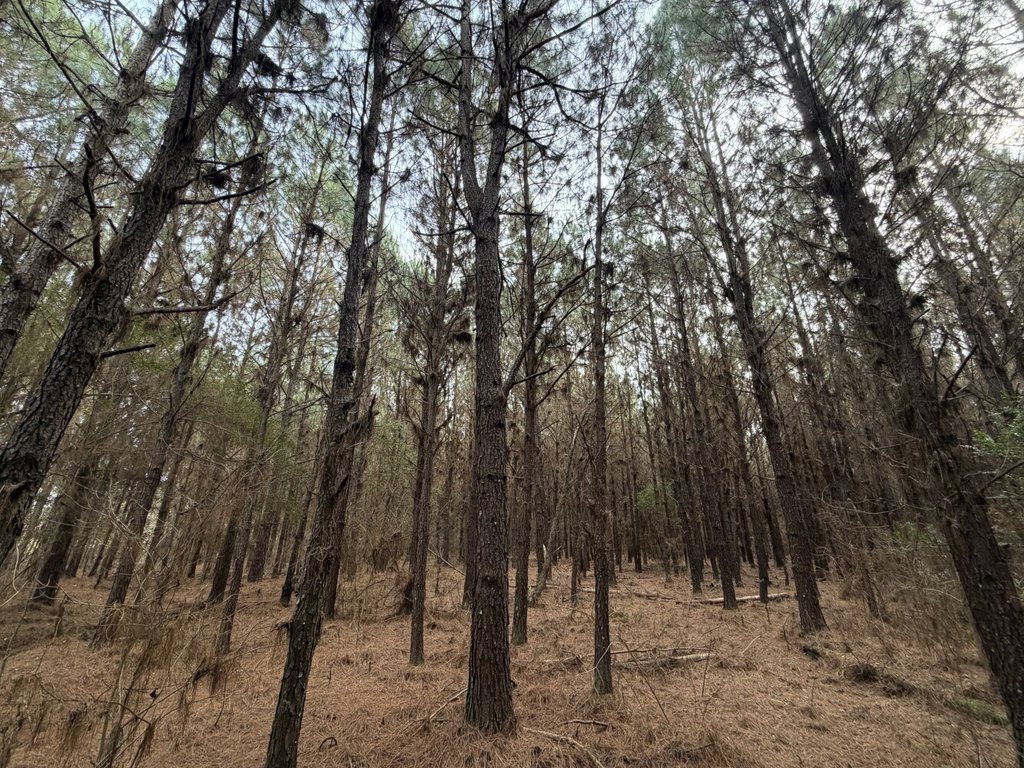 Picture 11
