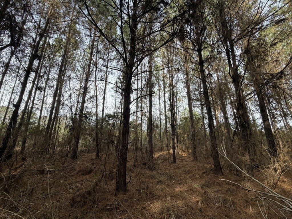 Picture 6