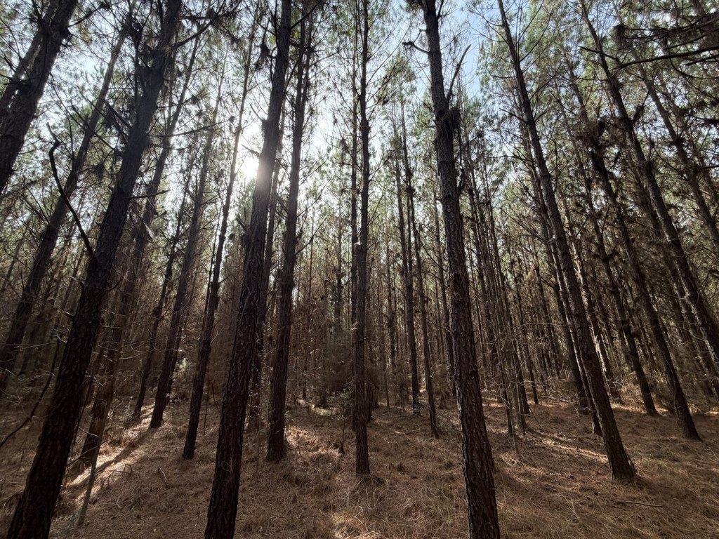 Picture 9