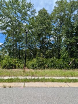 Residential Lots in Gated Subdivision