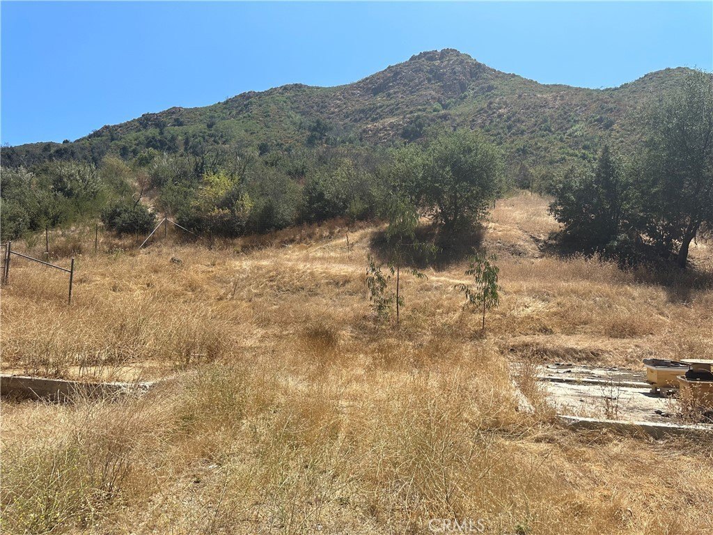 Picture 28