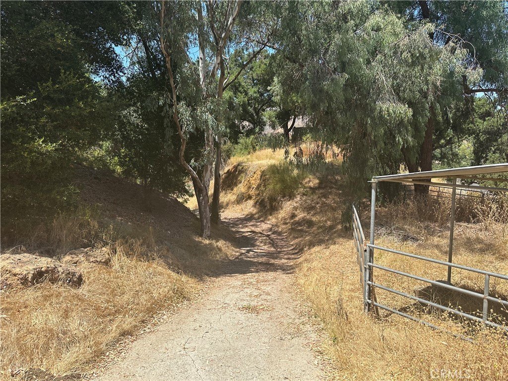 Picture 33
