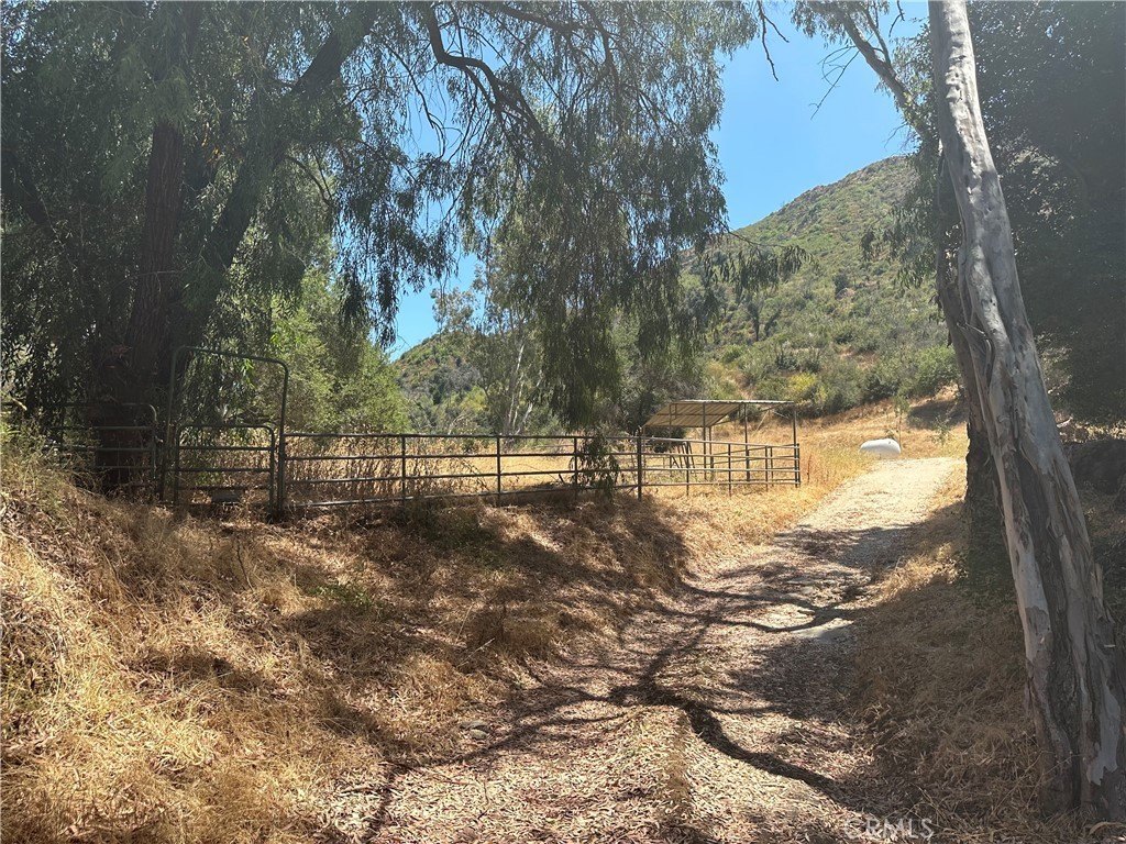 Picture 25