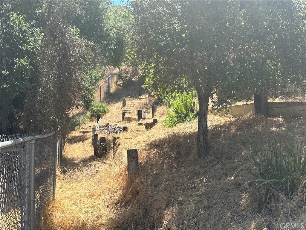 Picture 23