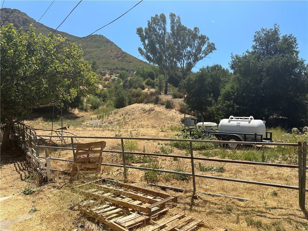 Picture 7