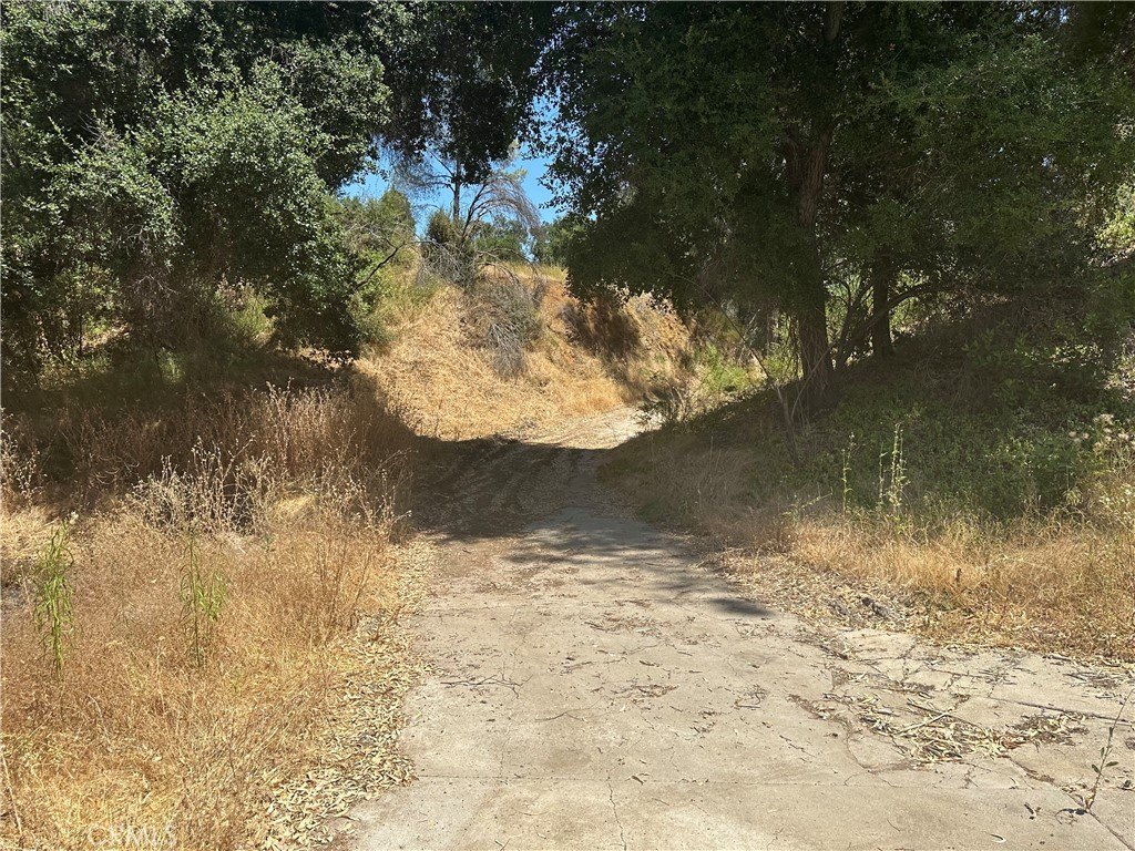 Picture 32