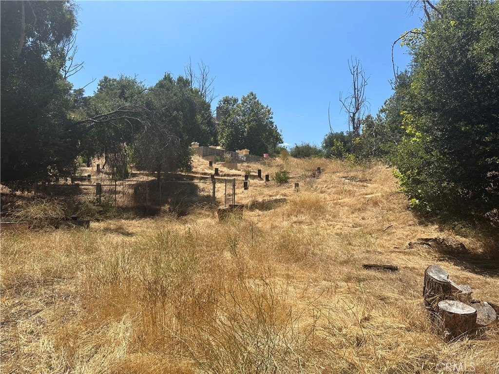Picture 29
