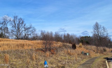 Mizpah Hills Building Lot