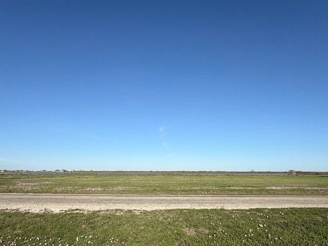 Picture 3