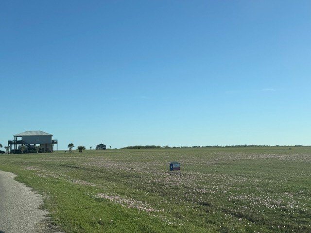Picture 7