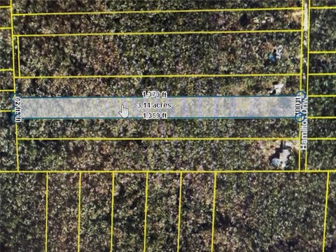 Rural Waterfront Farmland Parcel
