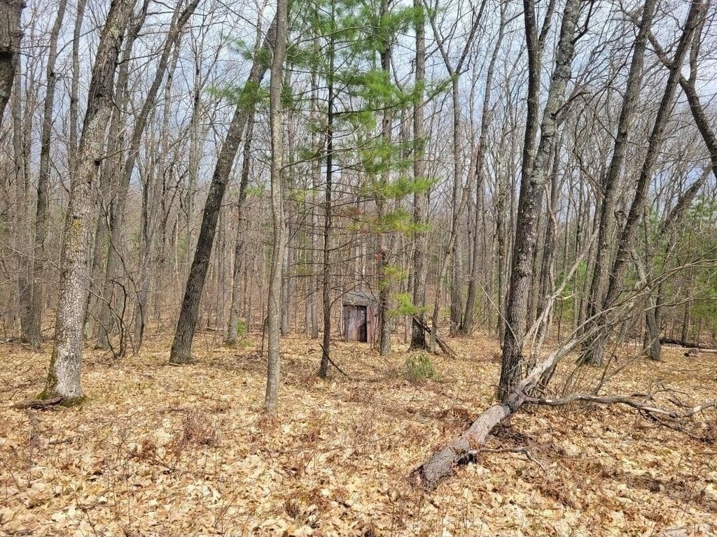 Picture 10
