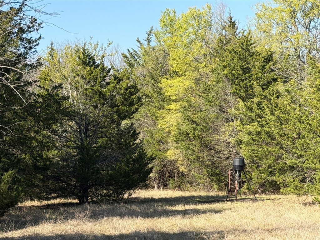 Picture 12