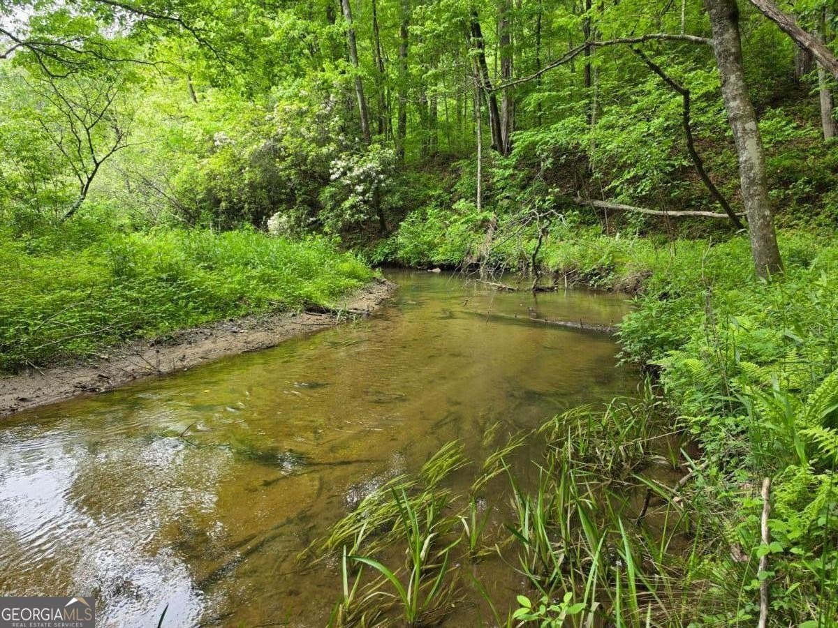 Creekfront Land in Ellijay, GA