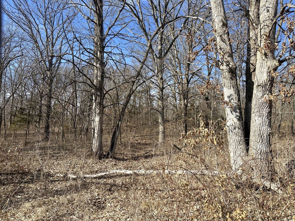 Picture 15