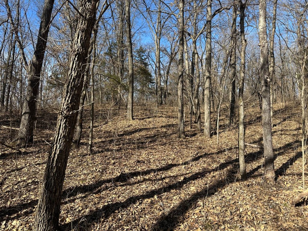 Picture 23