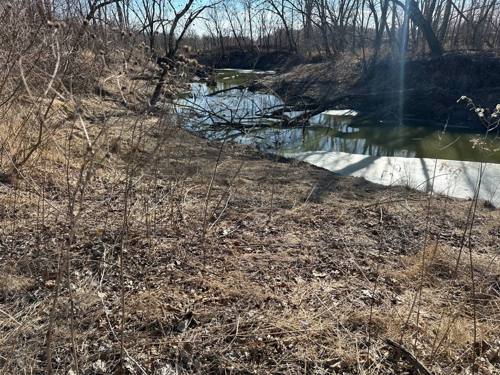 Picture 27