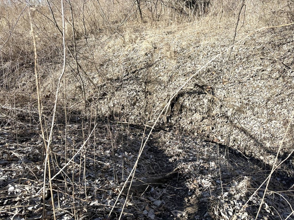 Picture 26