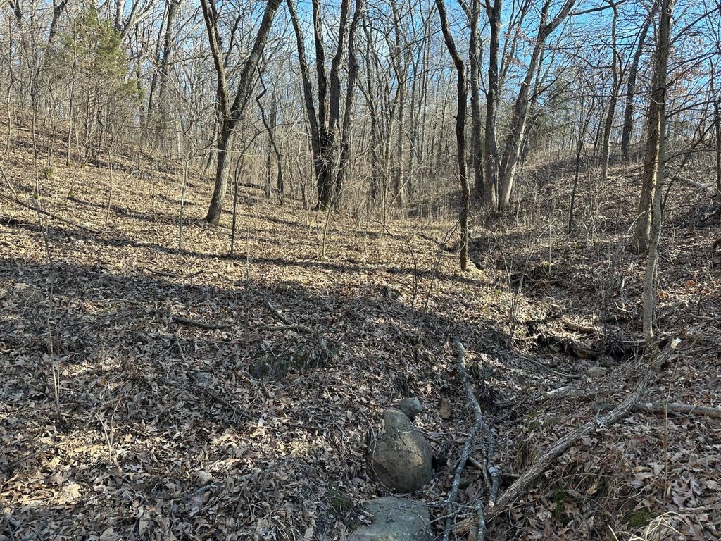 Picture 24