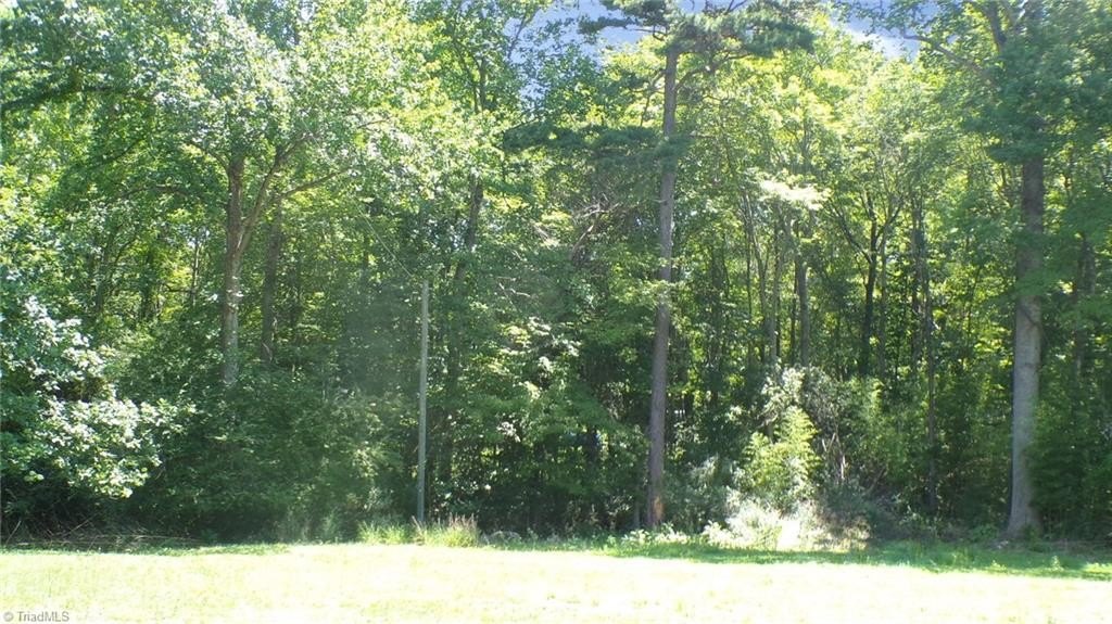 Picture 25