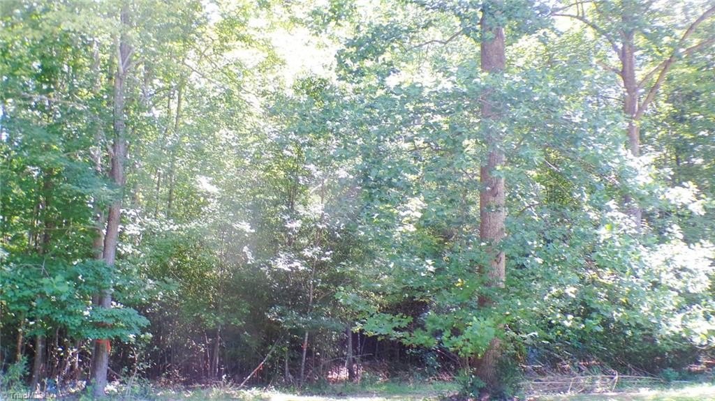 Picture 31