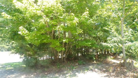 Land, Franklinville, NC