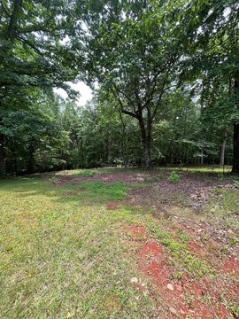 LAND - Cleveland, GA