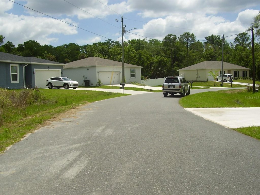 Picture 8
