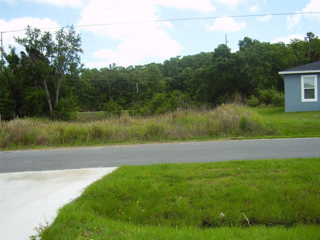 Picture 4