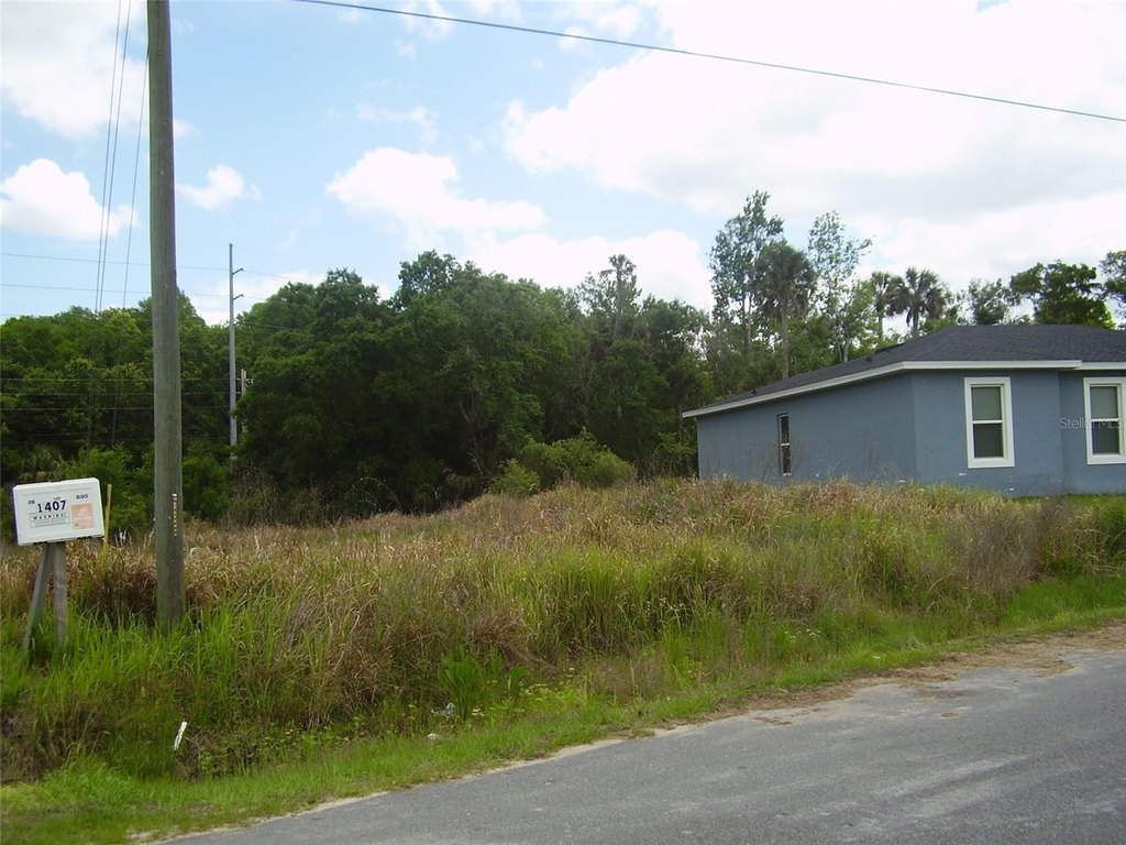 Picture 5