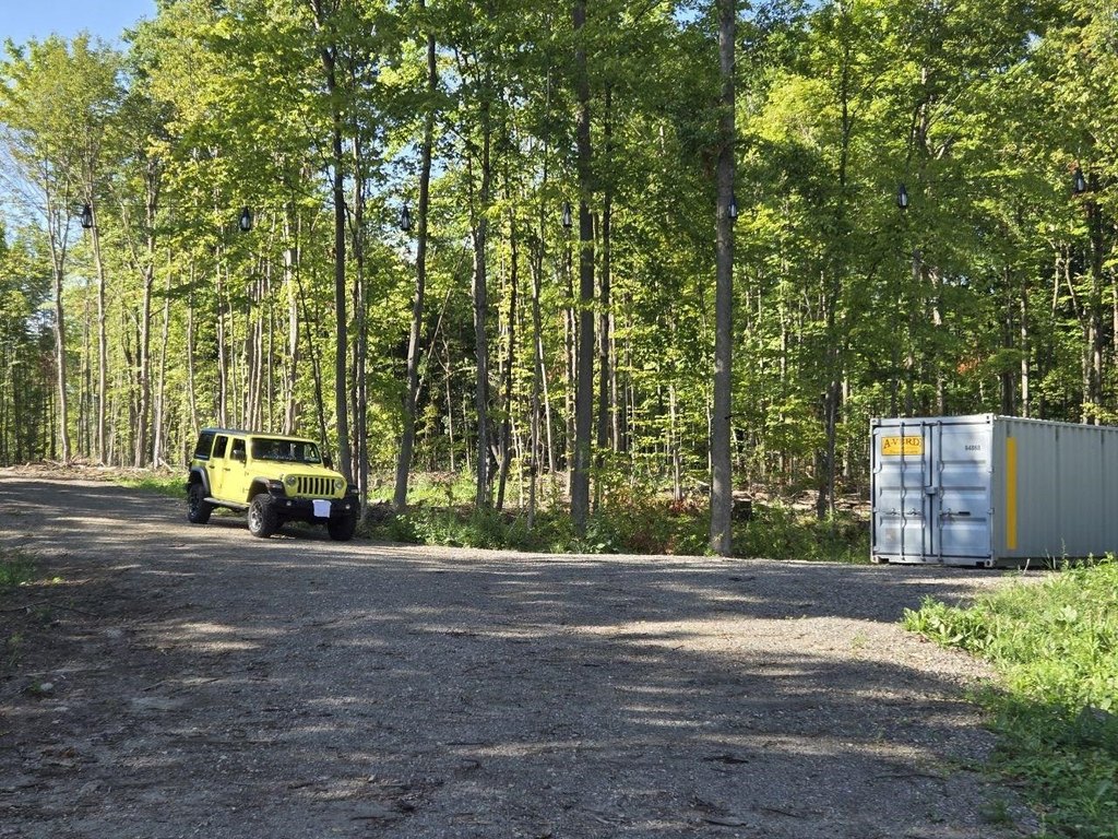 Picture 21
