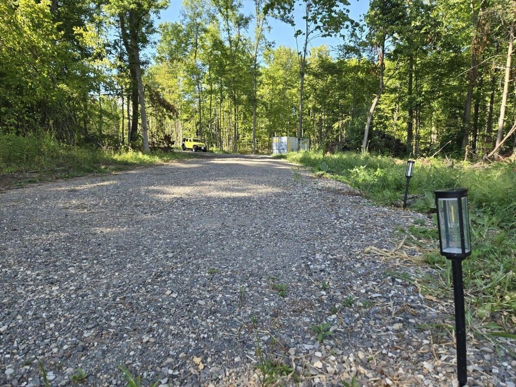 Picture 20