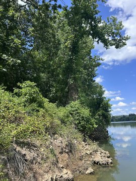 LAND - Shell Knob, MO