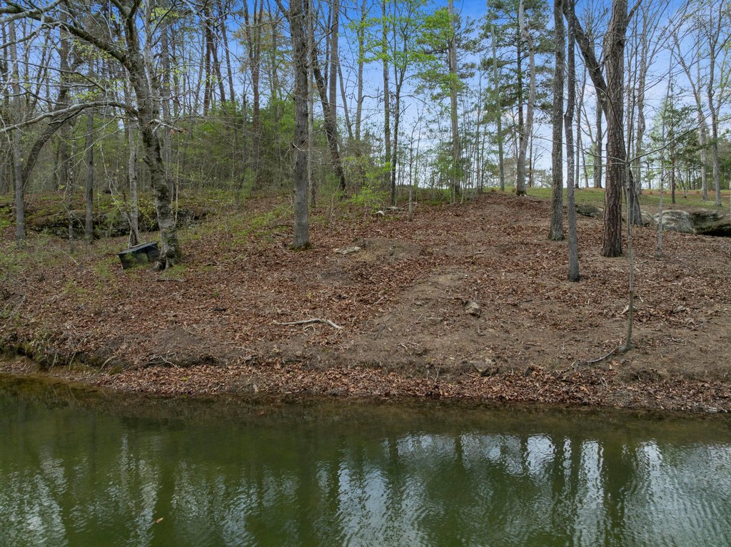 Picture 4
