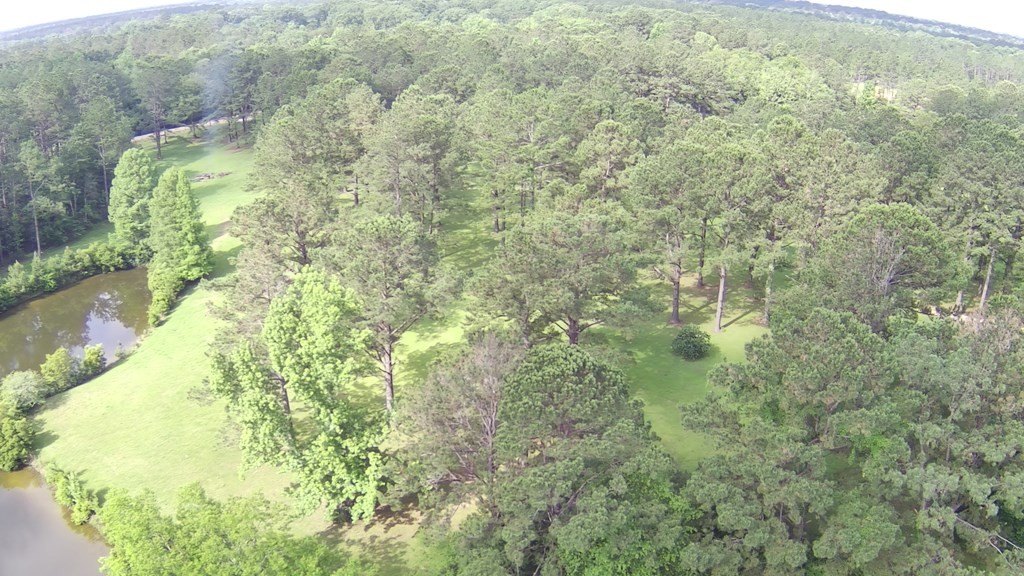 Picture 22