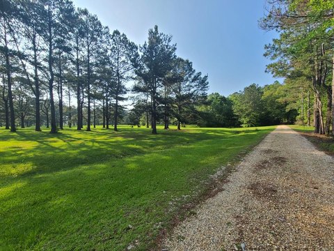 Lots/Land, Carriere, MS