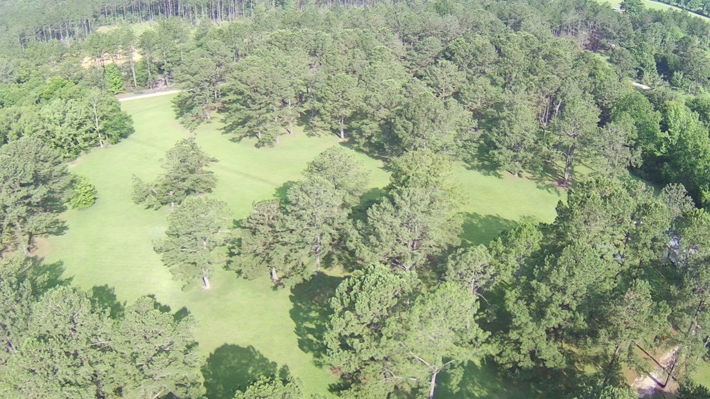 Picture 9