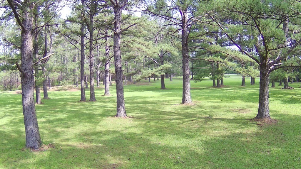 Picture 26