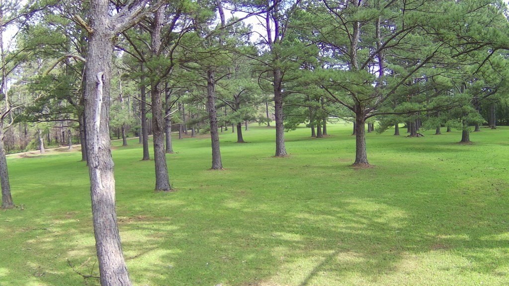Picture 25