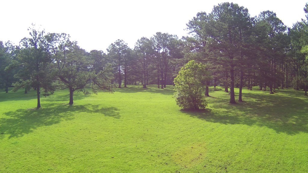 Picture 12
