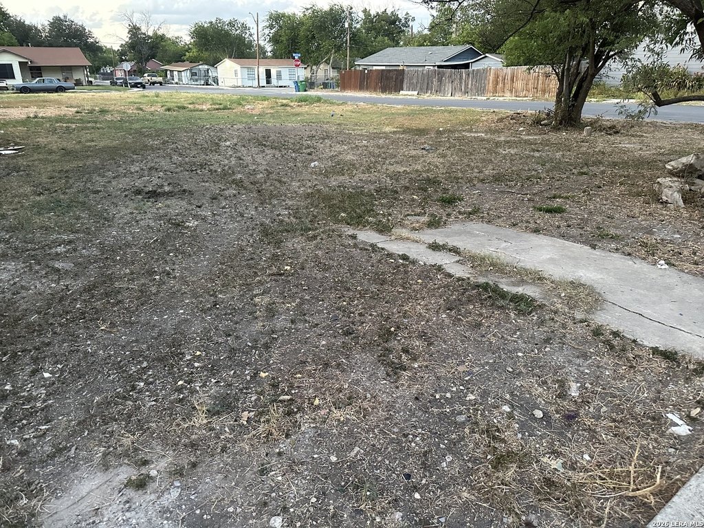 Picture 3