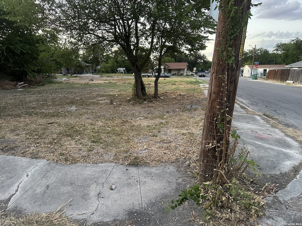 Picture 5