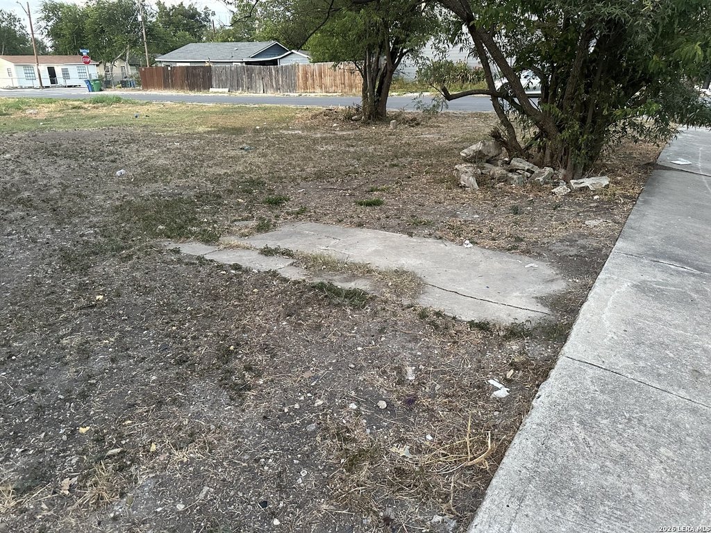 Picture 2